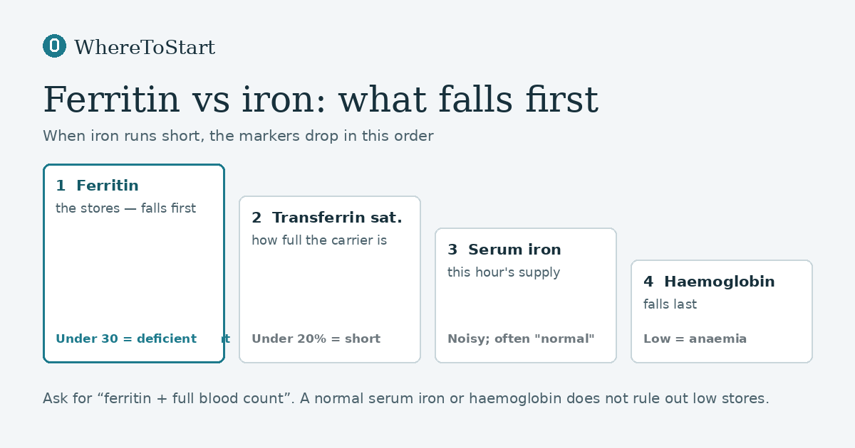 Four iron markers in the order they fall: ferritin first, then transferrin saturation, then serum iron, then haemoglobin last, with ferritin under 30 marked as the deficiency line